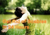 get rid of scabies in 24 hours
