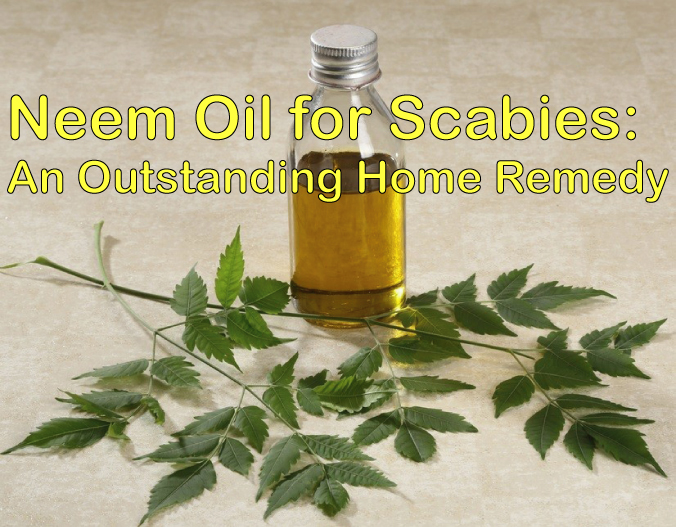 neem oil for scabies