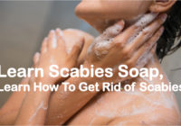 Scabies soap