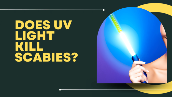 Does UV Light Kill Scabies